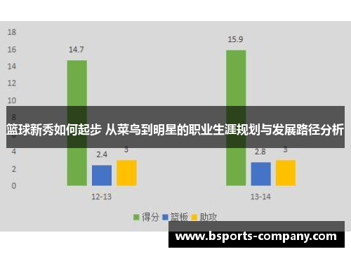 篮球新秀如何起步 从菜鸟到明星的职业生涯规划与发展路径分析