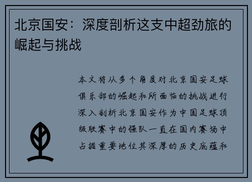 北京国安：深度剖析这支中超劲旅的崛起与挑战